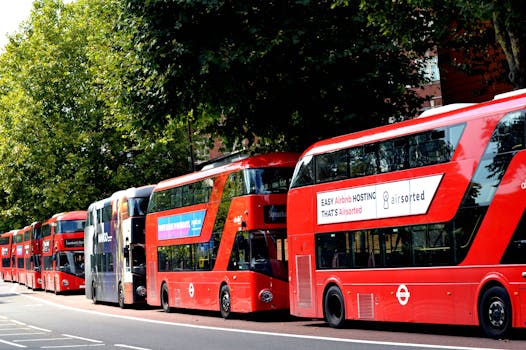 A row of traditional red double-decker buses parked on a London street under green trees.